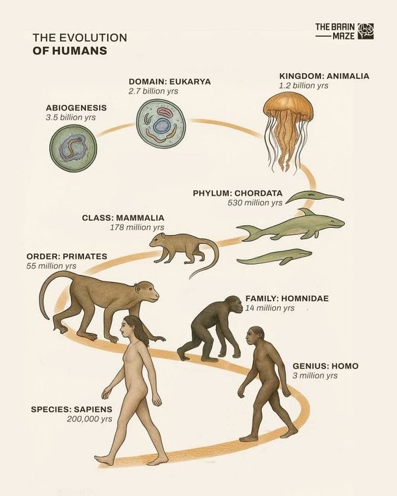 vxs_user98's tweet photo. Thoughts on this? 

#Islam #Christianity #Darwinism #Evolution #EvolutionTheory #DarwinianEvolution #Science https://t.co/0eVHSXXMrH