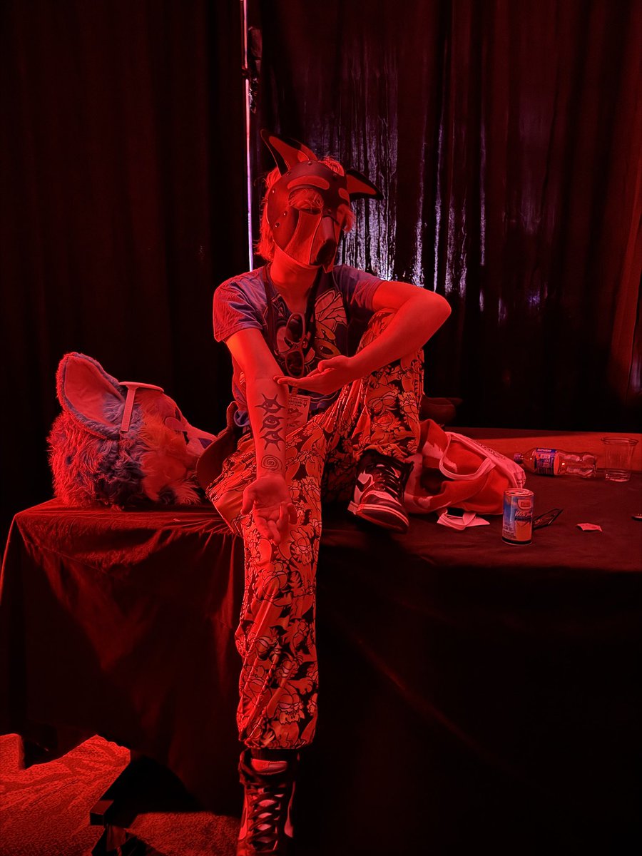 catdrooll's tweet photo. Chat is this aura https://t.co/2pWLmFOq60