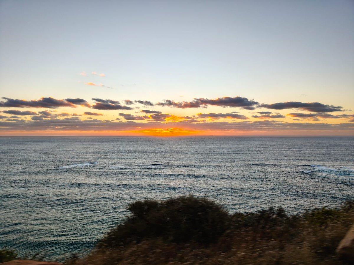 The Simons Computational Neuroscience Imbizo tweet media