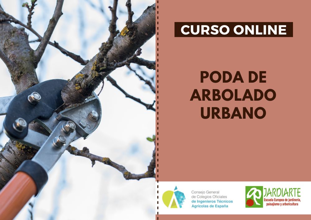 Consejo Agrícolas tweet media