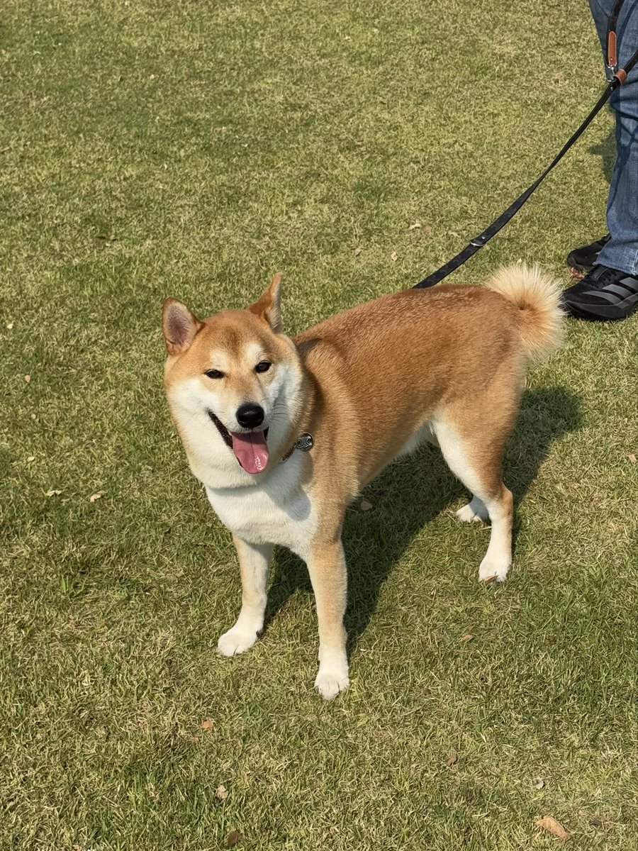 VIF_FC's tweet image. 4 หนุ่มหล่อ ทักทายพี่ๆก่อนกลับ กทม คับ
#VIFTokenSS2withBA