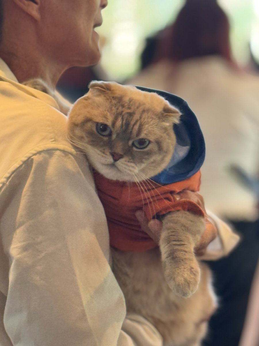 VIF_FC's tweet image. 4 หนุ่มหล่อ ทักทายพี่ๆก่อนกลับ กทม คับ
#VIFTokenSS2withBA