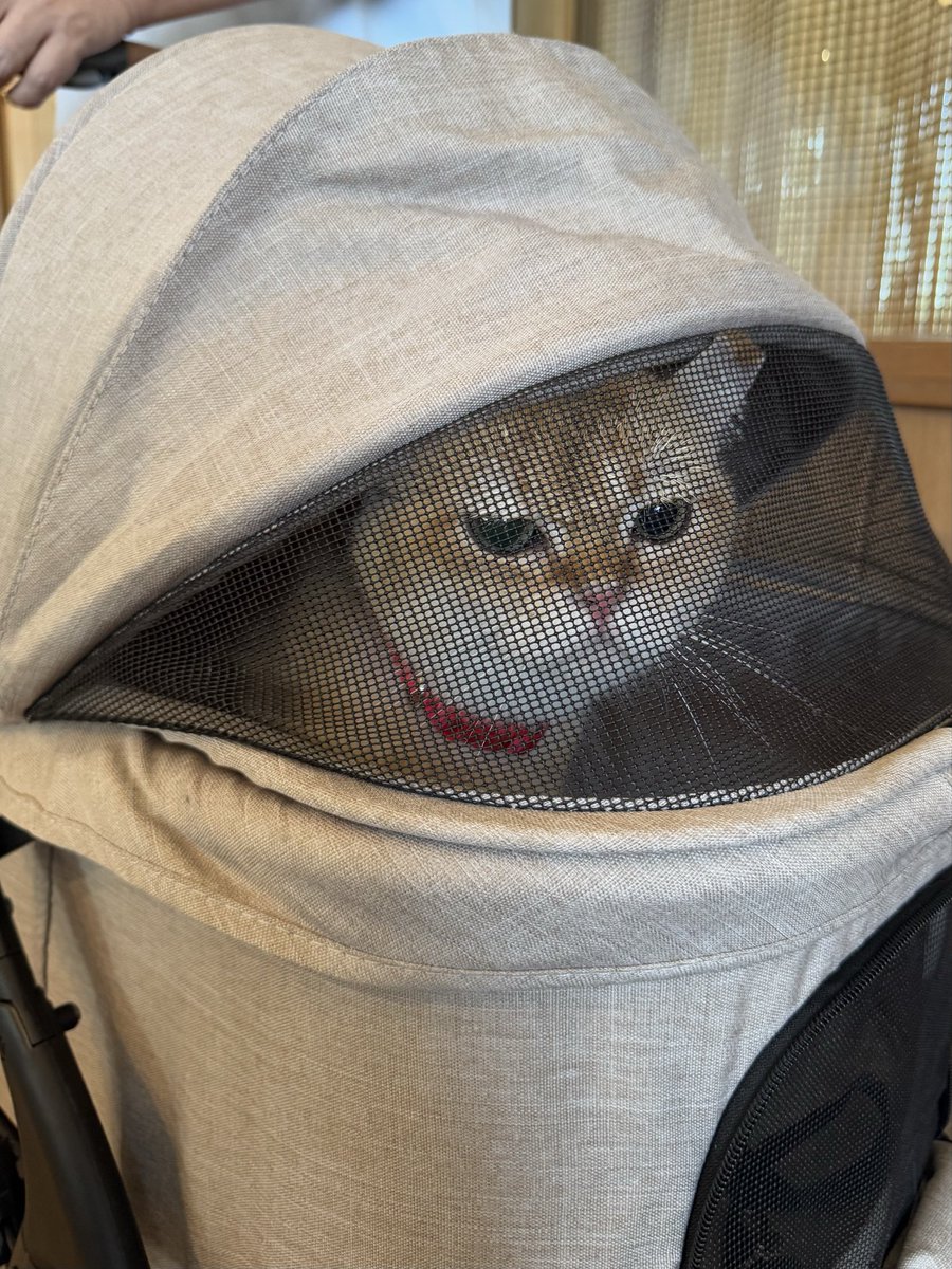 VIF_FC's tweet image. 4 หนุ่มหล่อ ทักทายพี่ๆก่อนกลับ กทม คับ
#VIFTokenSS2withBA