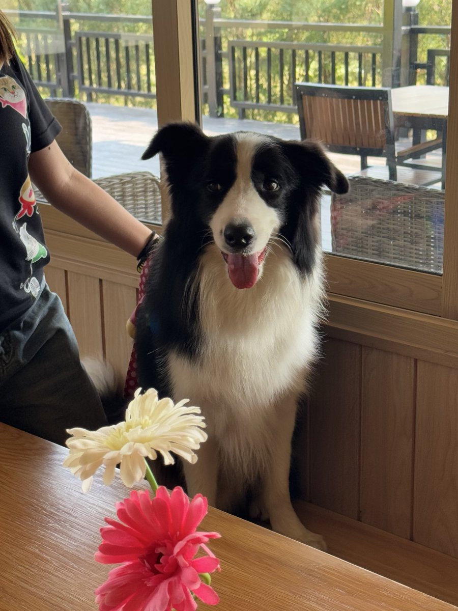 VIF_FC's tweet image. 4 หนุ่มหล่อ ทักทายพี่ๆก่อนกลับ กทม คับ
#VIFTokenSS2withBA