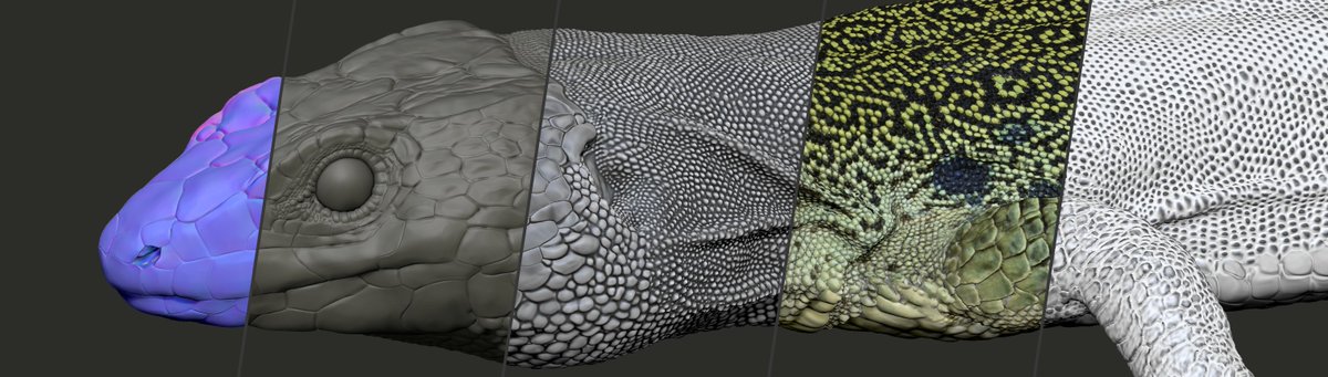 The Milinkovitch-Tzika lab tweet media