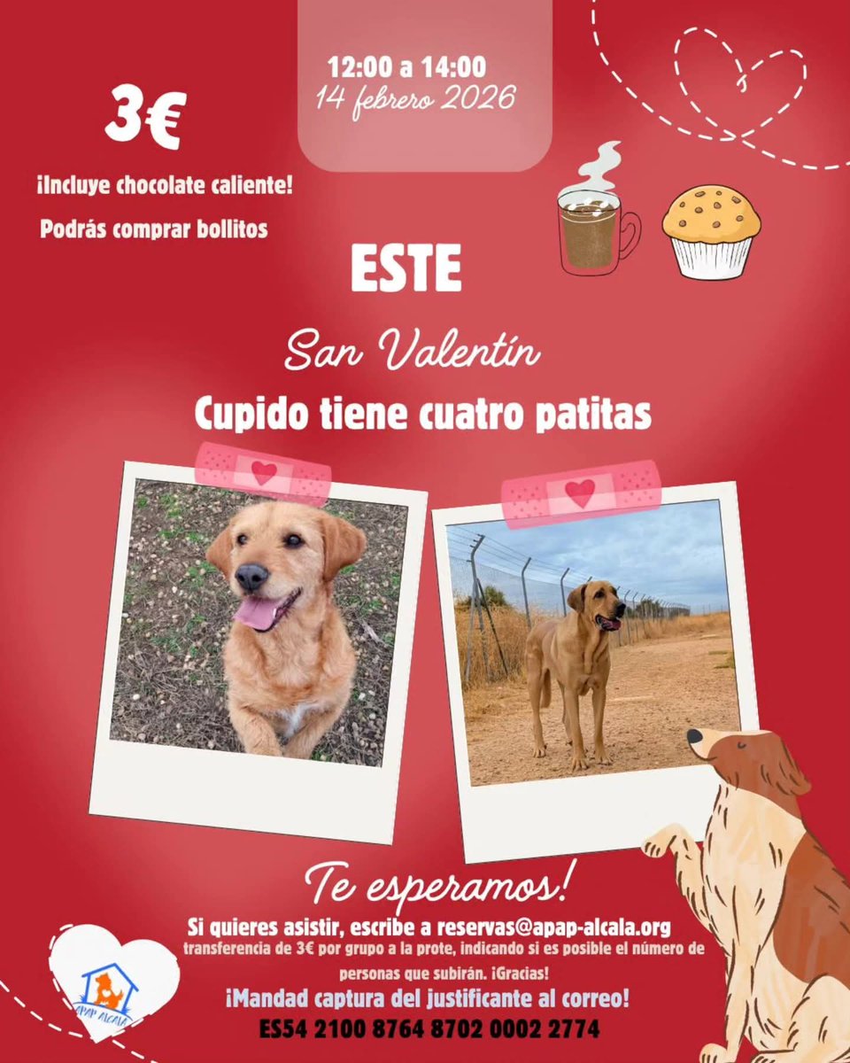 APAPAlcala's tweet image. Asi que, apuntad bien la fecha que se viene eventazo llenito de amor...
¡Y chocolate!🥰
🗓️ 14 Febrero 
🕐 De 12:00 a 14:00h
🐶 En la prote 
💲Entrada 3€ 
Si quieres asistir, envía un mail a reservas@apap-alcala.org
¡Os esperamos! 🥳

#perros #oportunidad #love #adopta #ayuda