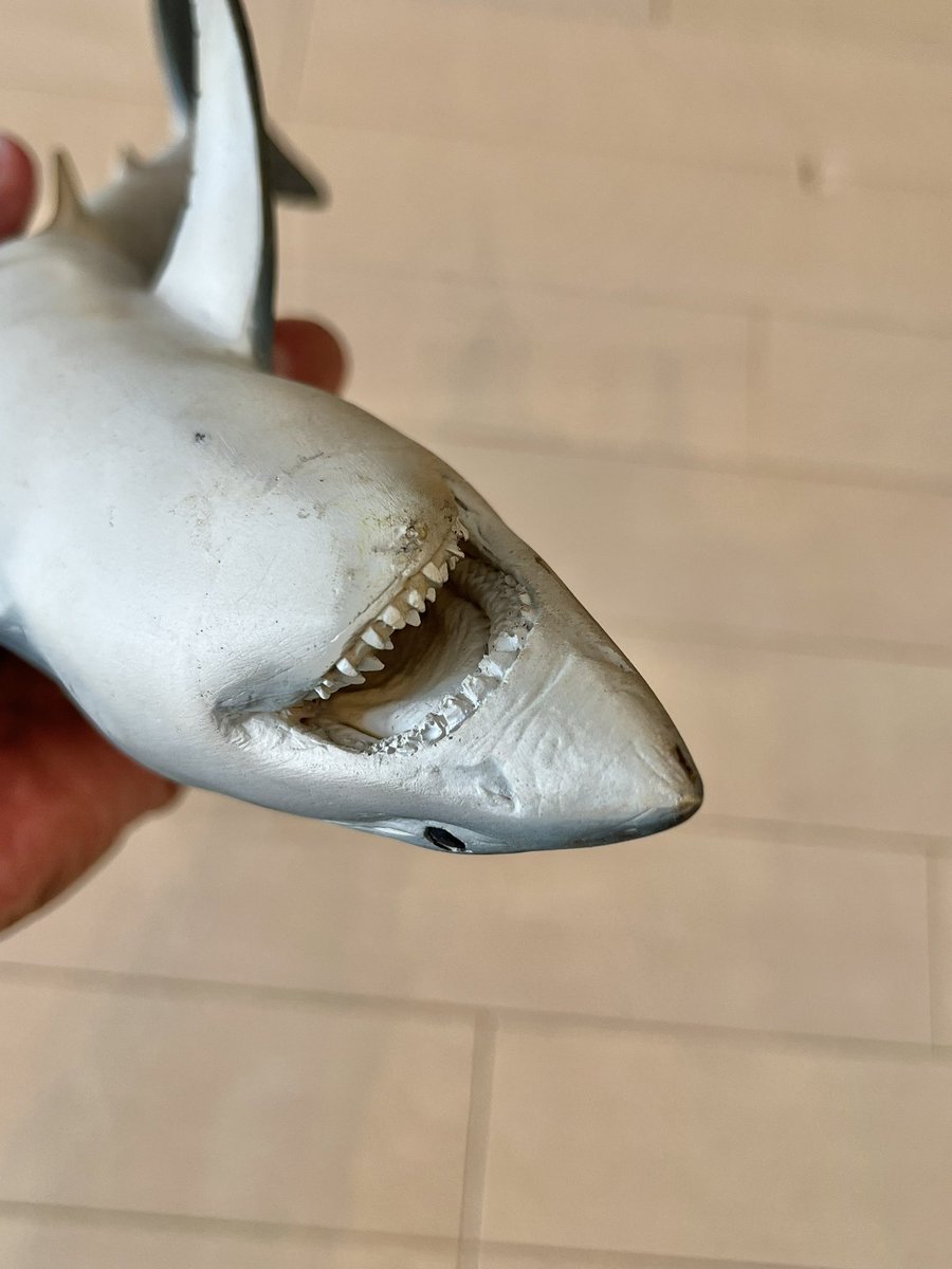 海洋堂】NATURE TALES ホホジロザメ☆松村しのぶ Nature Tales