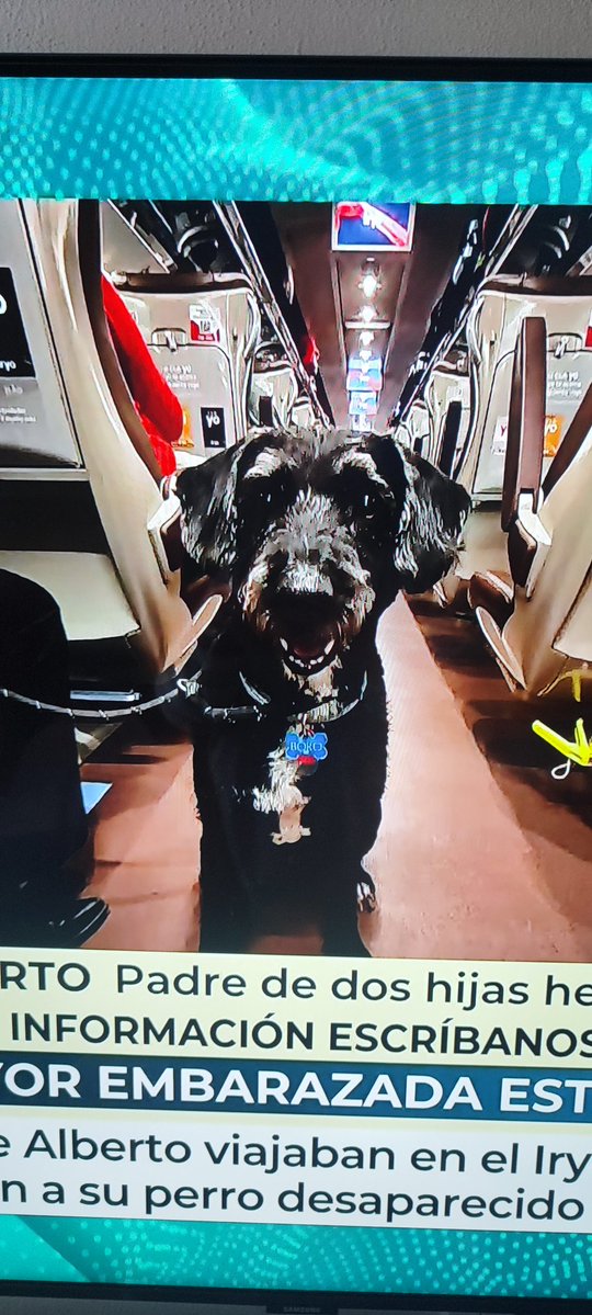 El padre de dos víctimas del iryo ha pedido que si alguien lo ve por favor que avise. Se llama BORO. Para sus hijas es muy importante. Por desgracia una de ellas está en la UCI embarazada. Obviamente las personas van por delante pero es mucho para ellas. #descarrilamiento #iryo