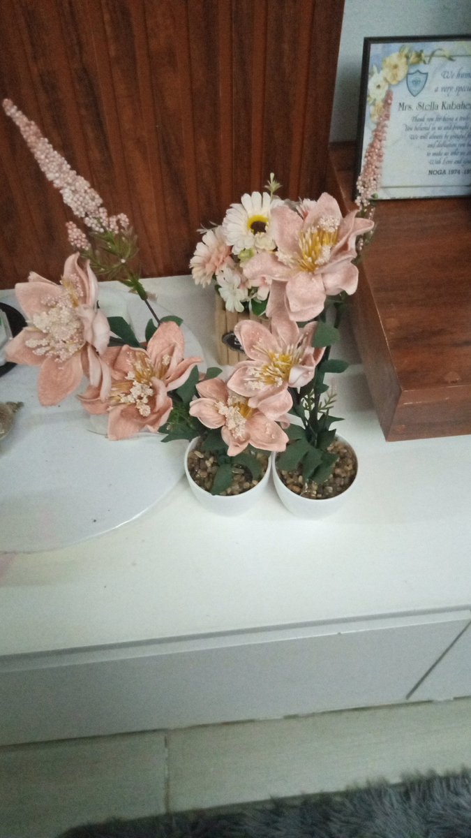 Angella for Mide 💎🌸🌸 tweet media