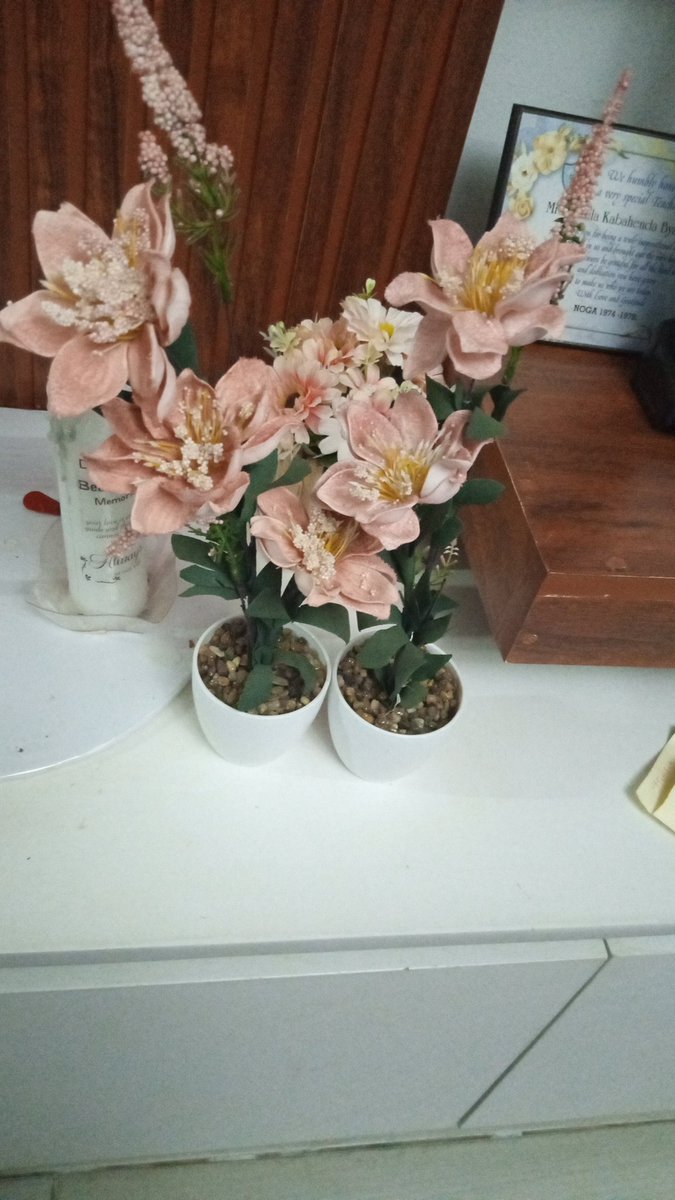 Angella for Mide 💎🌸🌸 tweet media