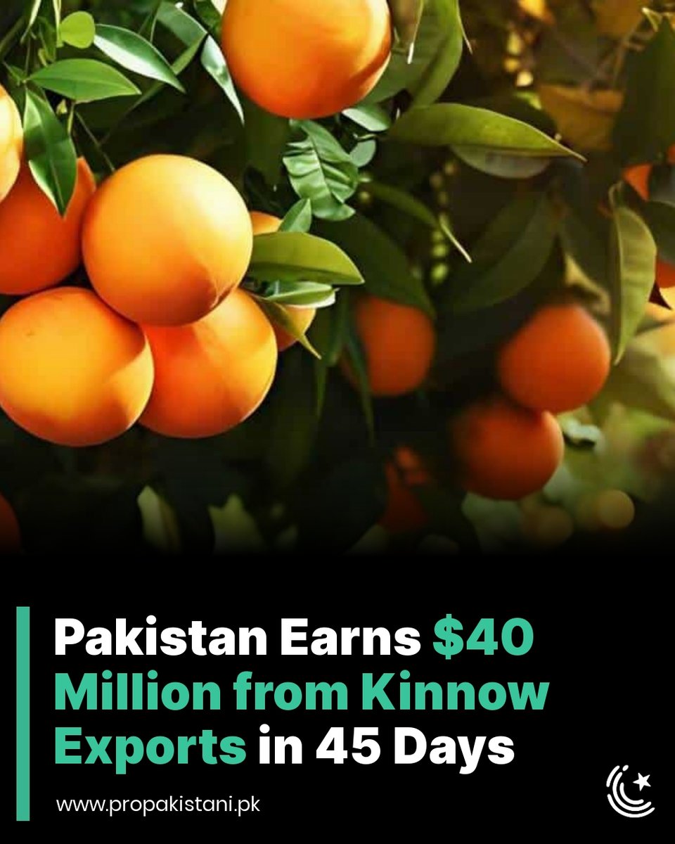 A truck loaded with kinnow oranges, ready for international shipment from Pakistan.