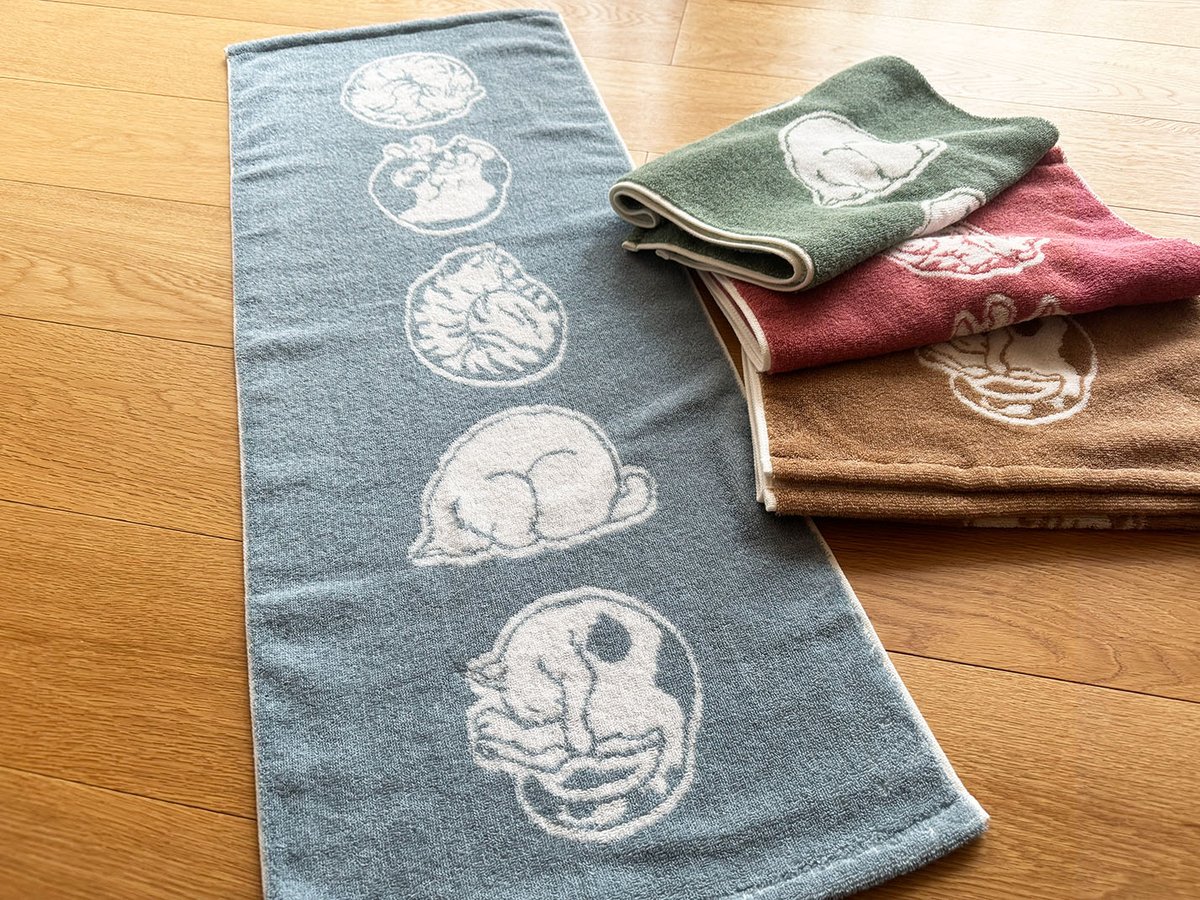 くるんくるん集合〜！🌀🐱 ／ アンモニャイト図鑑 フェイスタオル（34