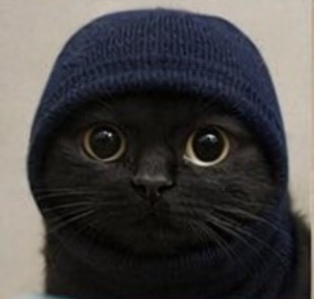 HopiumPapi's tweet image. Gm