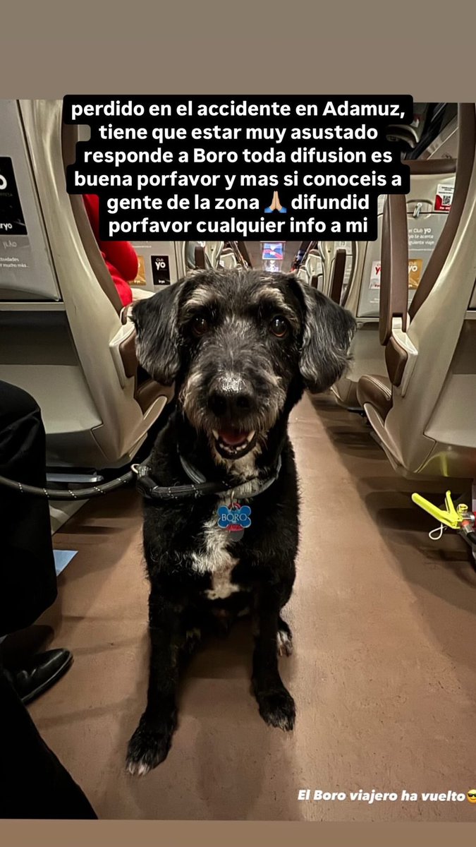 Jeeeffryy's tweet image. 🙏