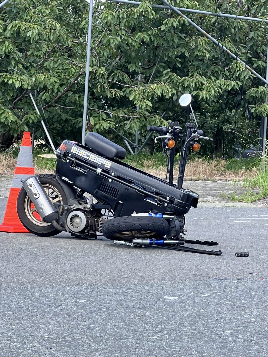 さくた (@sakukintama) / Posts / X