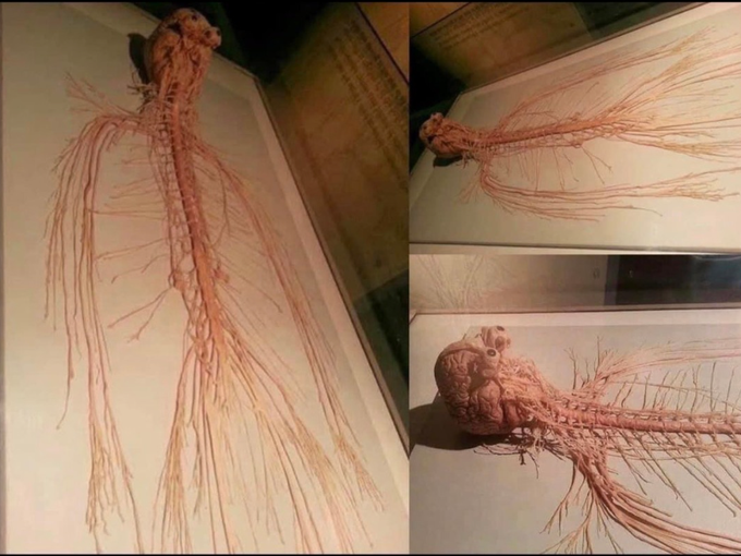 Rainmaker1973's tweet image. This creature lives inside you and controls literally every thing you do.