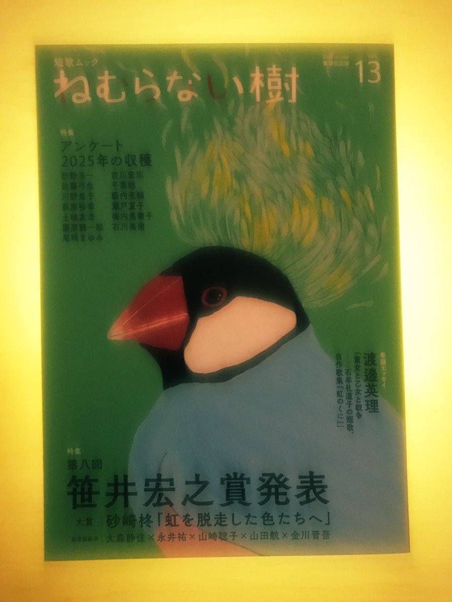 agtmtsk_bot's tweet image. 短歌ムック『ねむらない樹　vol.13』に「記憶は欠けたところにベルを鳴らしている」15首を寄稿しました。ぜひ読んでください。

二階からおりてきたのに鎖骨まで星に光られてばかみたい／我妻俊樹