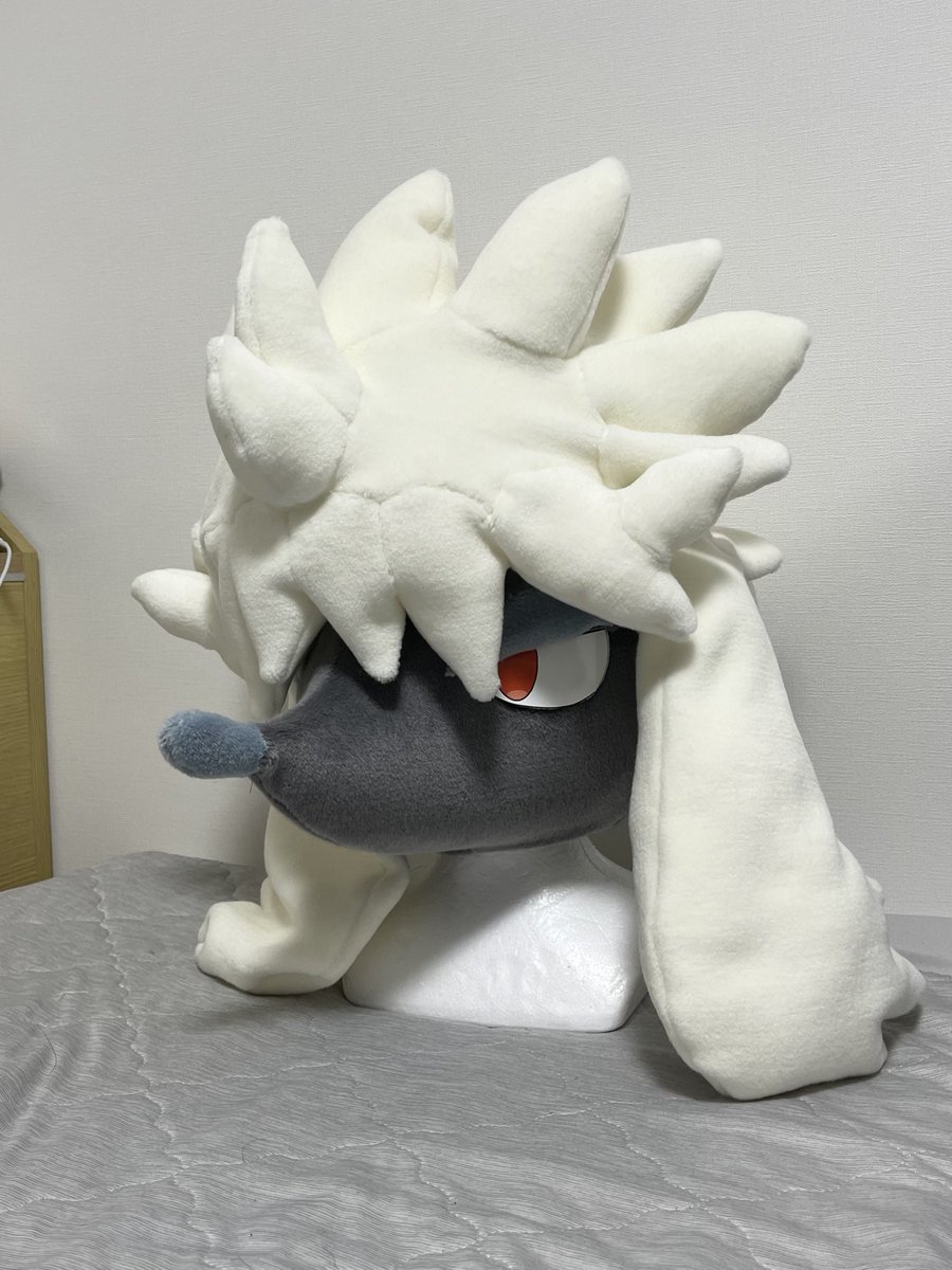 ルート tweet media