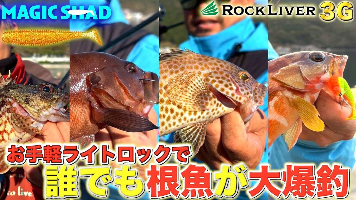 エンジョイソルト (@SefhCsoYYDDg1pR) / Posts / X