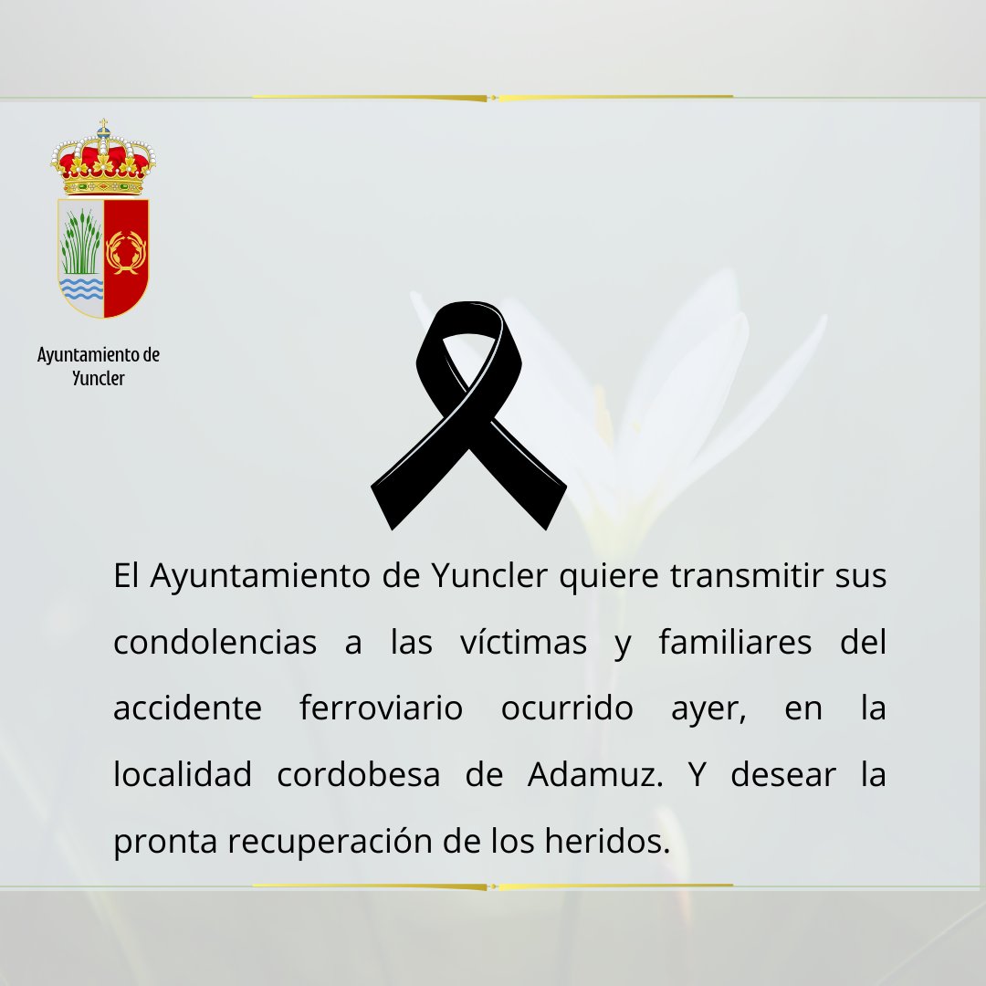 AYUNTAMIENTO YUNCLER tweet media
