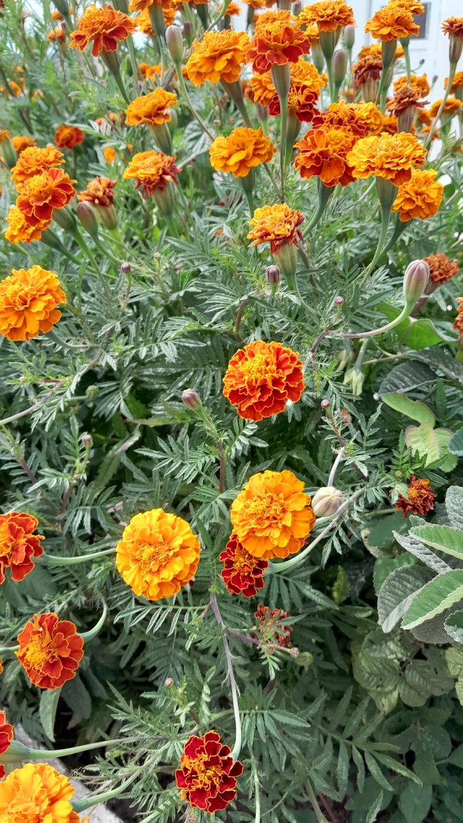 Doğan KAYABEKİR (@dogankayabekir) on Twitter photo 