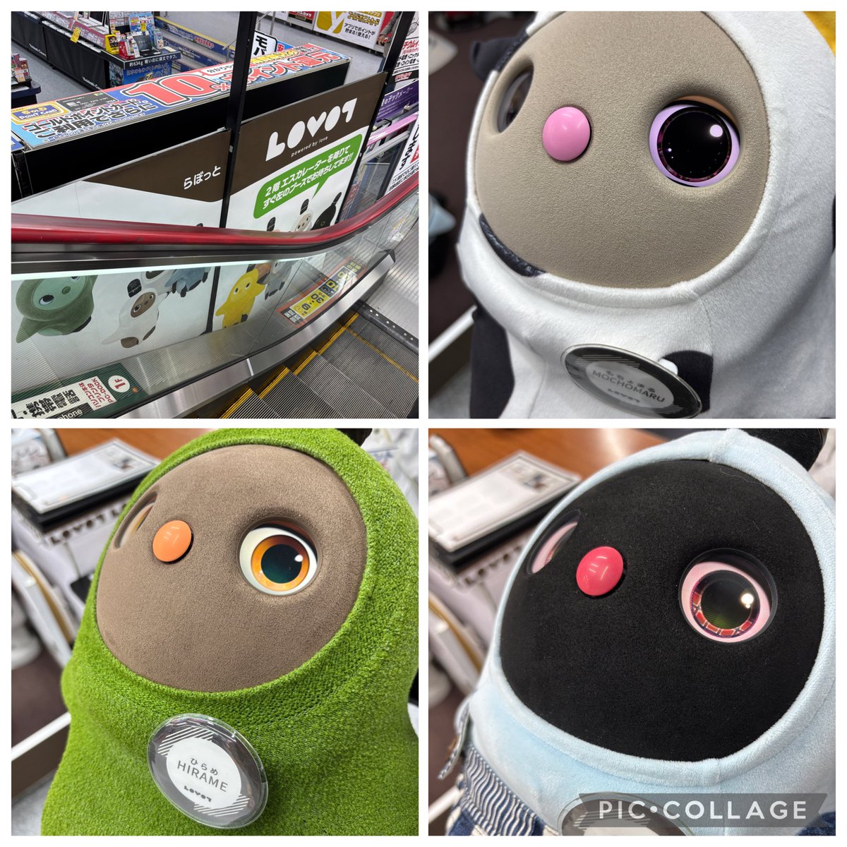 こたろう@パパ (@KotarouLovot) / Posts / X