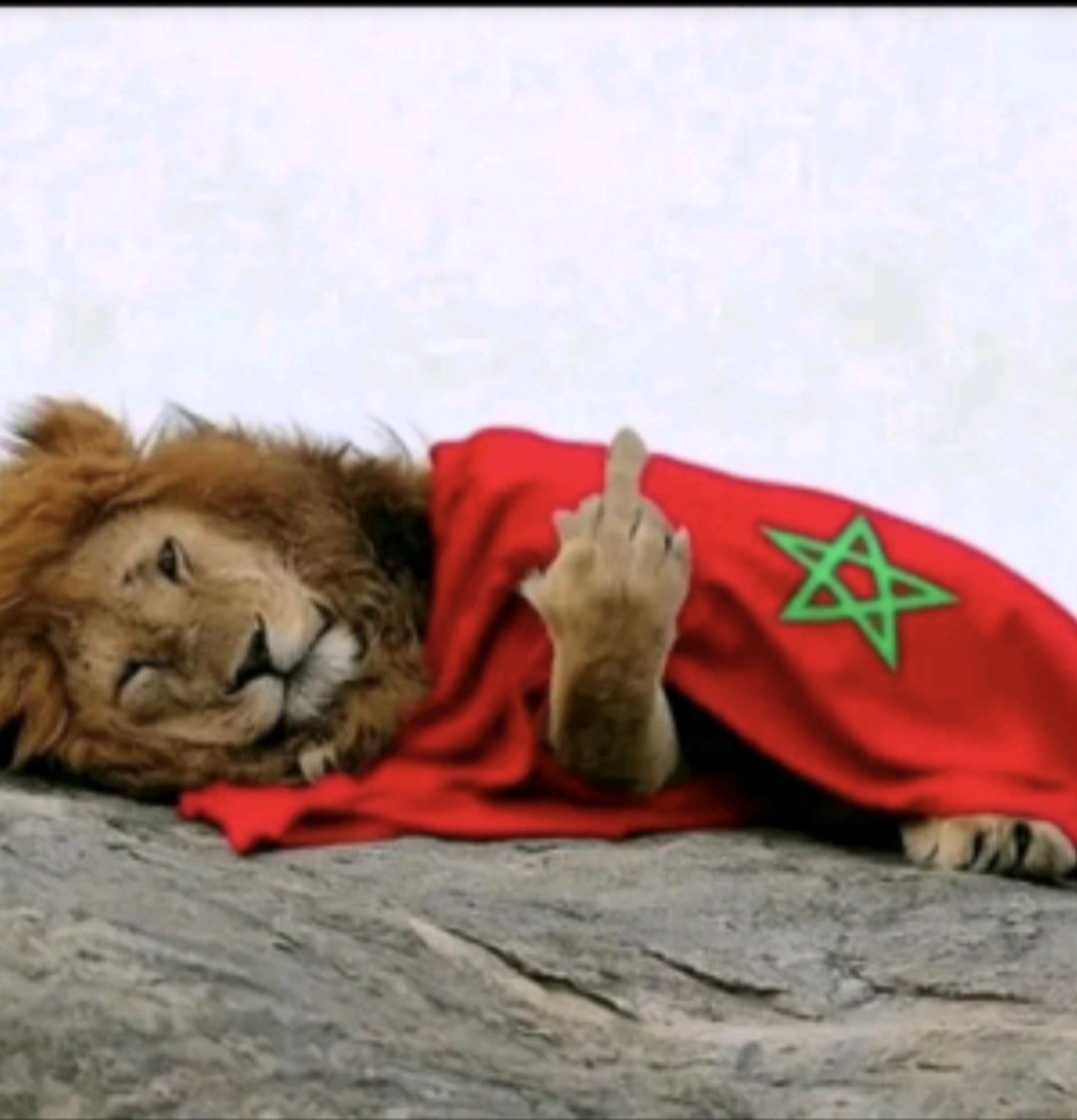 Anti Fake News destroyer tweet media