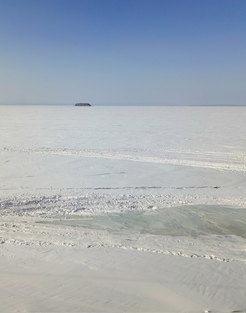 quick_spinch's tweet image. Иллюстрация на тему "Холодно, блять..."