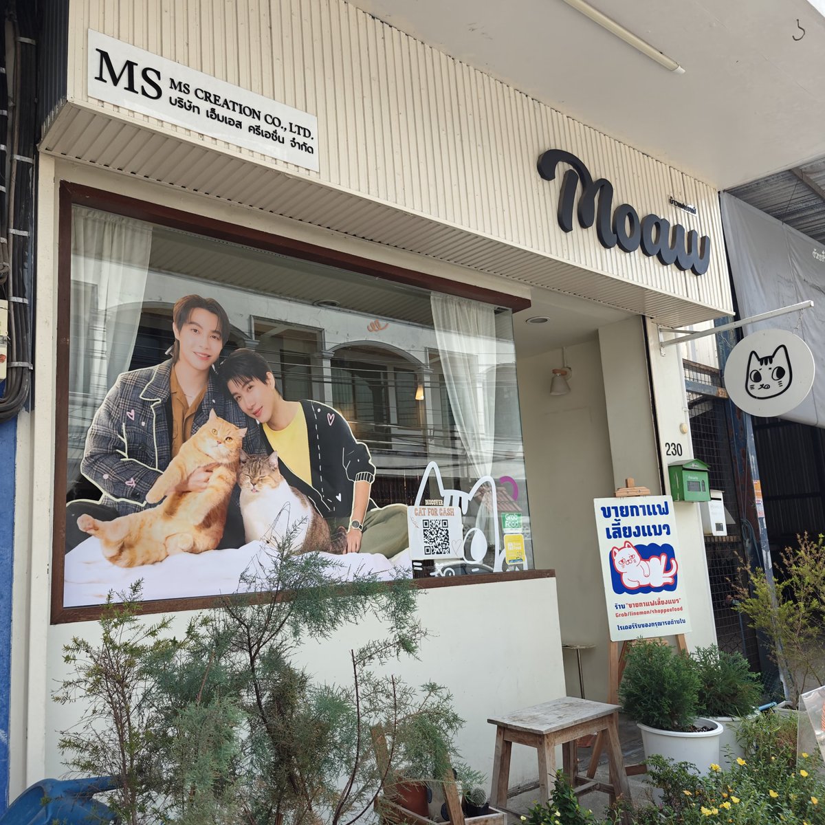 gylt2547's tweet image. Check in Check in!!!
Let's prepare for #CatForCash tomorrow!!

#FirstKhaotung (⁠•⁠ө⁠•⁠)⁠♡ #เฟิร์สข้าวตัง 

@katiechen1105 @CamuiSubaru @mimaneko139