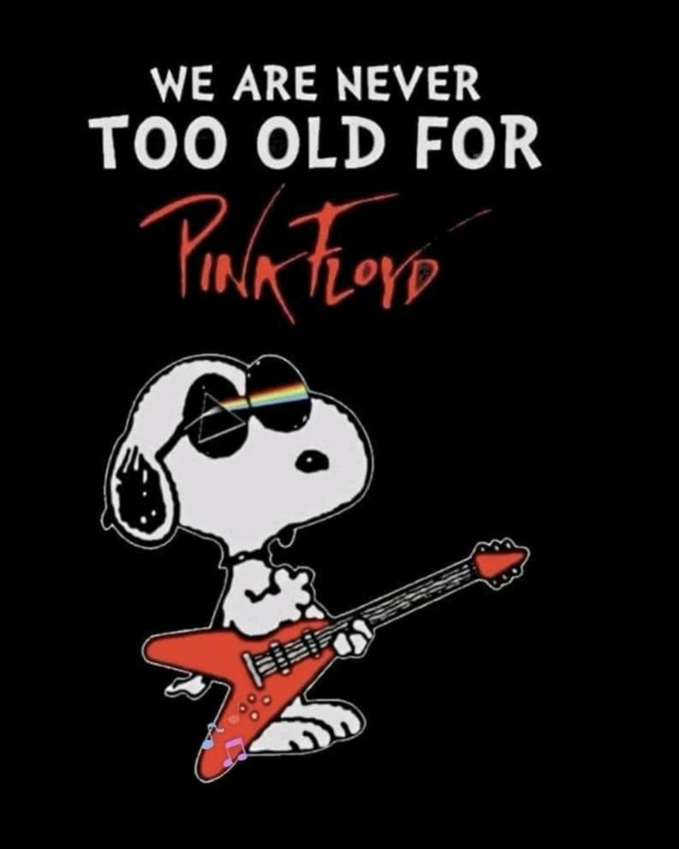 Pink Floyd 💎 (@just_pinkfloyd) on Twitter photo 