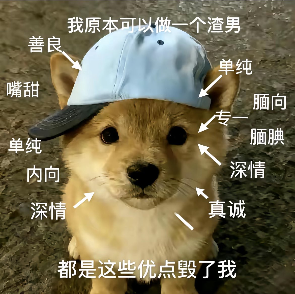 空 tweet media