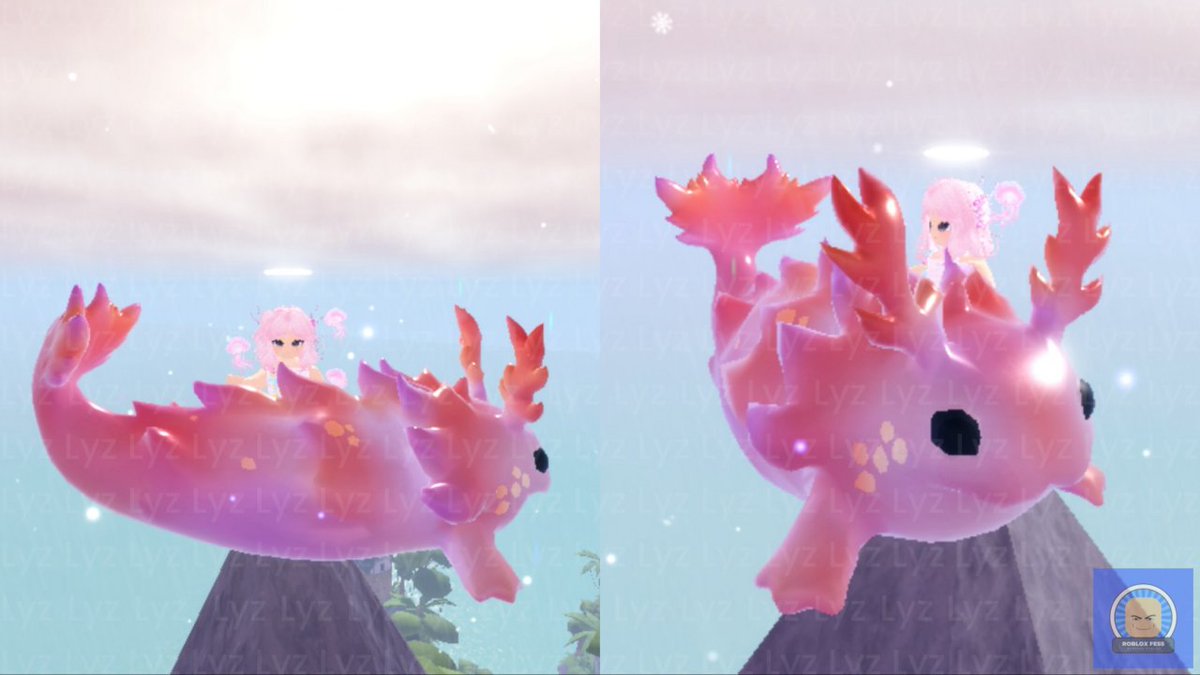 Roblox Fess tweet media