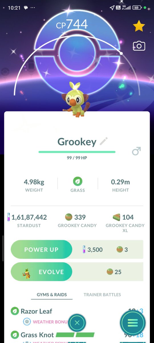Grookey Community Day. 
Got 2 Shiny grookey background😍

#PokemonGO 
#PokemonGOApp
#PokemonGOCommunityDay