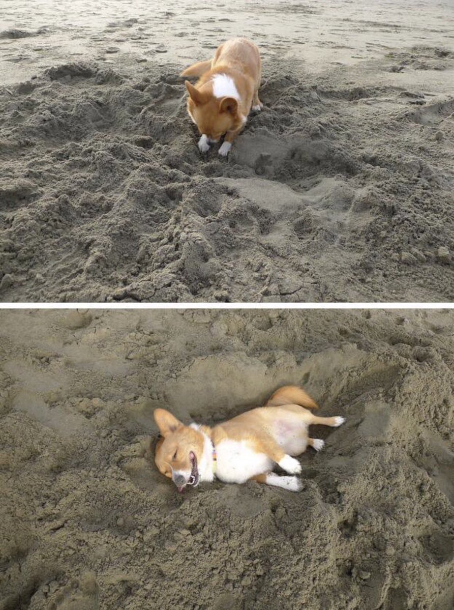 Gekikawa_Dbts's tweet image. 穴を掘って自分が寝る