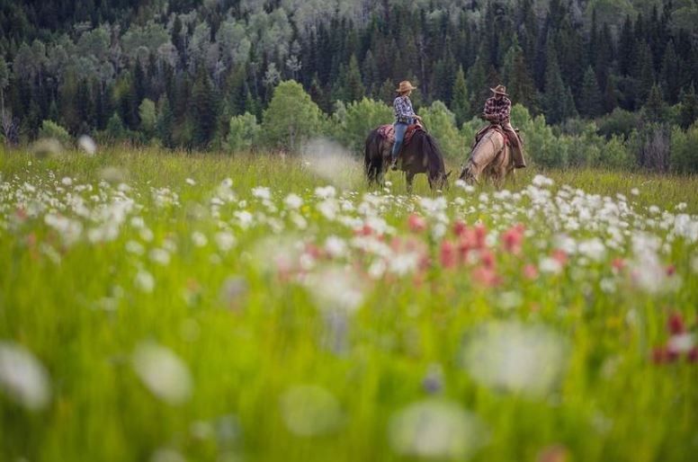 MHGuestRanch's tweet image. Hike blooming trails, spot wildlife waking up — end with your Private Cabin with a Hot Tub. Spring perfection! montanahillguestranch.com 250-593-9807 #PrivateCabinWithHotTub #SpringHiking #MontanaHillGuestRanch