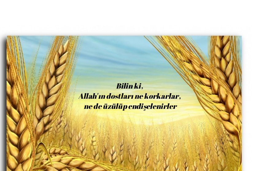 Mustafa50480326's tweet photo. Selâmûn aleyküm, Hayırlı Sabahlar.      
Hayırlı ve Bereketli Haftalar.   
Allah'ın rahmeti bereketi üzerinize olsun
#FreeTurkistan 
#FreePalestine 
#freesudan https://t.co/eDI0lOxFDx