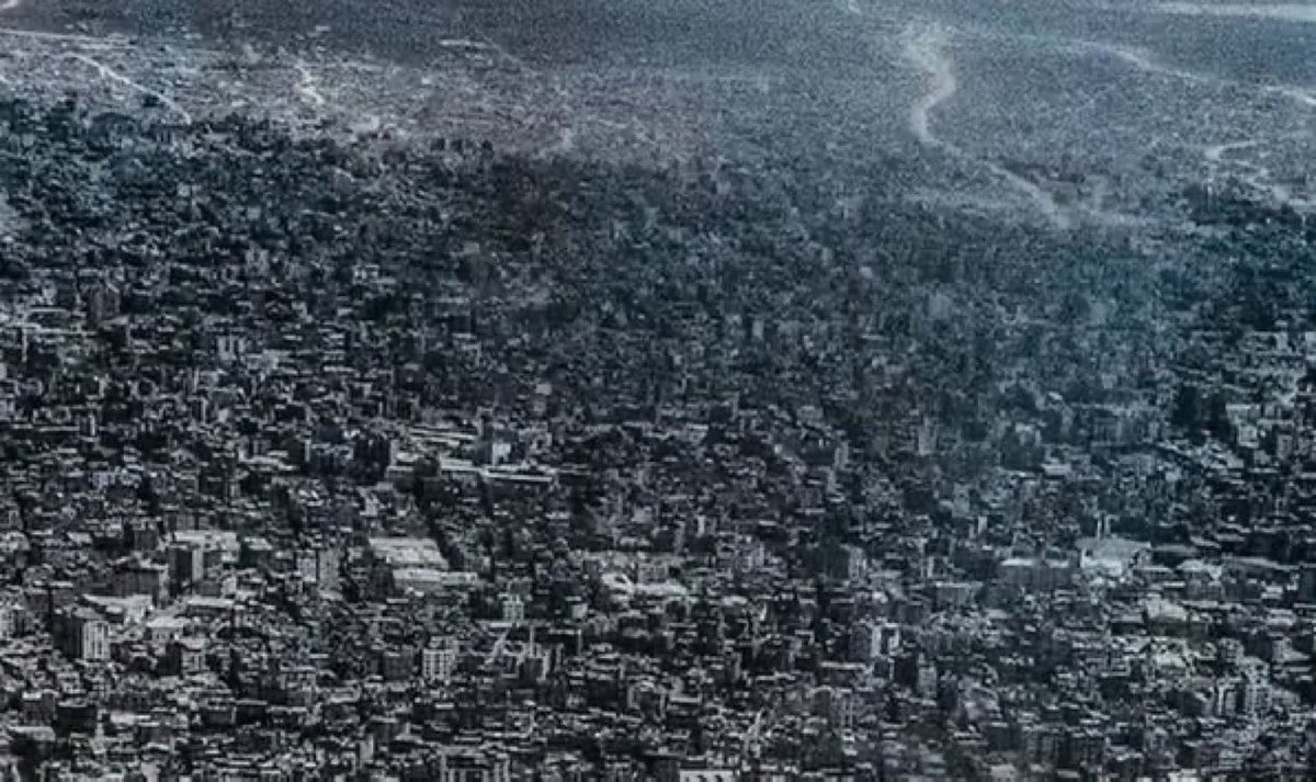 Sara Mir tweet media