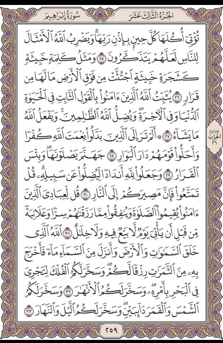 misbahu_jibril's tweet photo. Recite and repost one page here daily https://t.co/7juB1ExjDQ