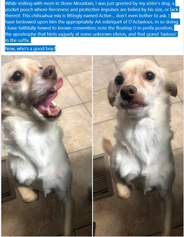 Gyalist's tweet photo. @Dannyjokes Some do. Here's a screenshot of my younger brother trolling our Family group chat. https://t.co/5bL0JdDCpQ