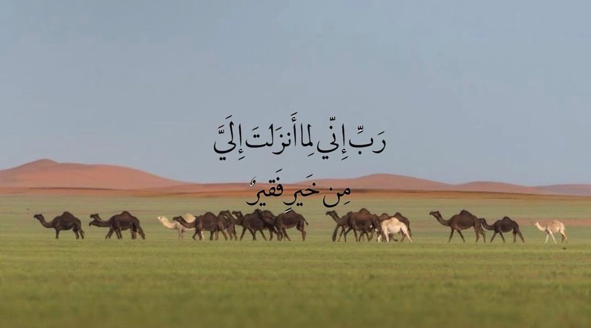 thkkkrr_'s tweet image. 