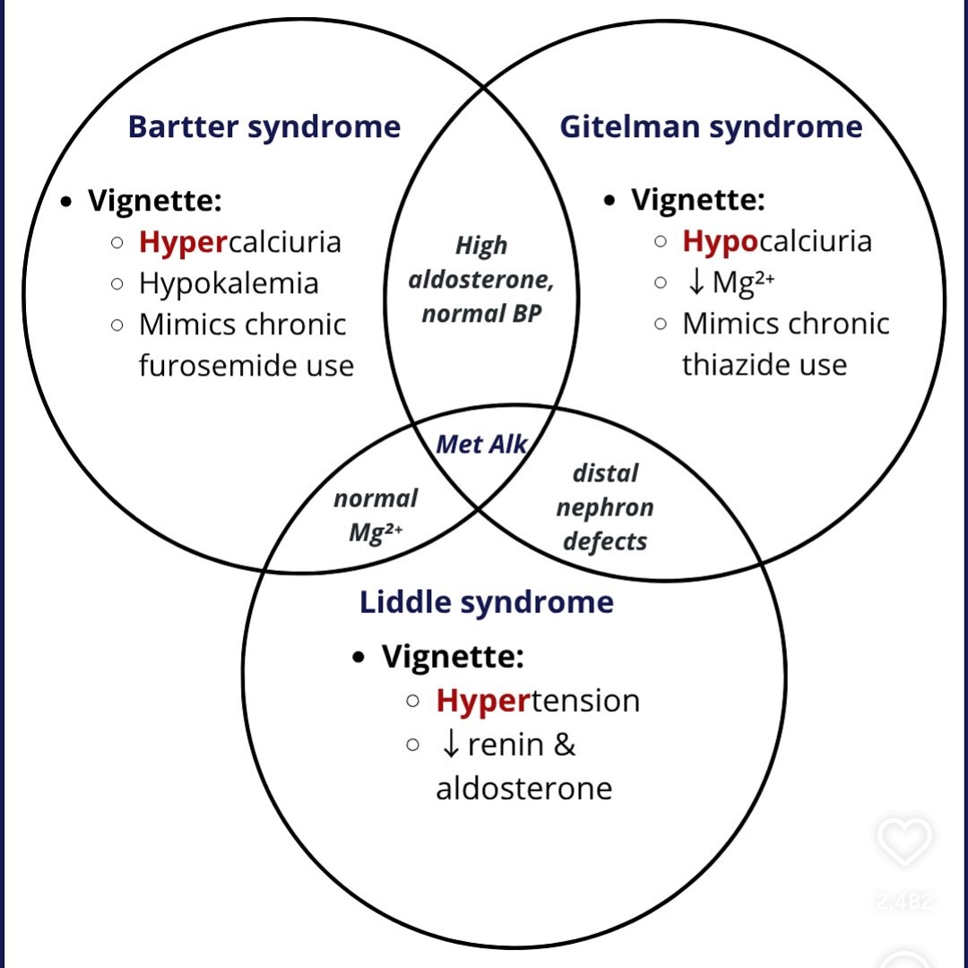 PJaseja's tweet image. 3 tubular disorders- with metabolic alkalosis 
Bartter syndrome 
Gitelman syndrome
Liddle syndrome
#MedTwitter