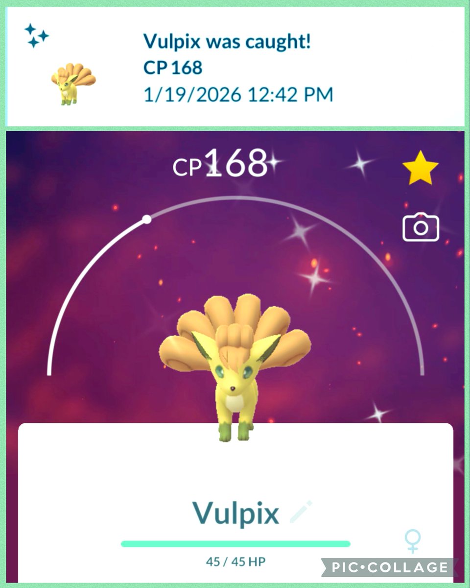 SmileThippy's tweet photo. ˓ ࣪꒰ ˶ᵔ ᵕ ᵔ˶ ꒱ .°₊ · ˚ ° ꔛ 🧡💚💛✨
#ShinyVulpix 
#PokemonGO🧢🫶🏻 https://t.co/YJQtZIkmZv