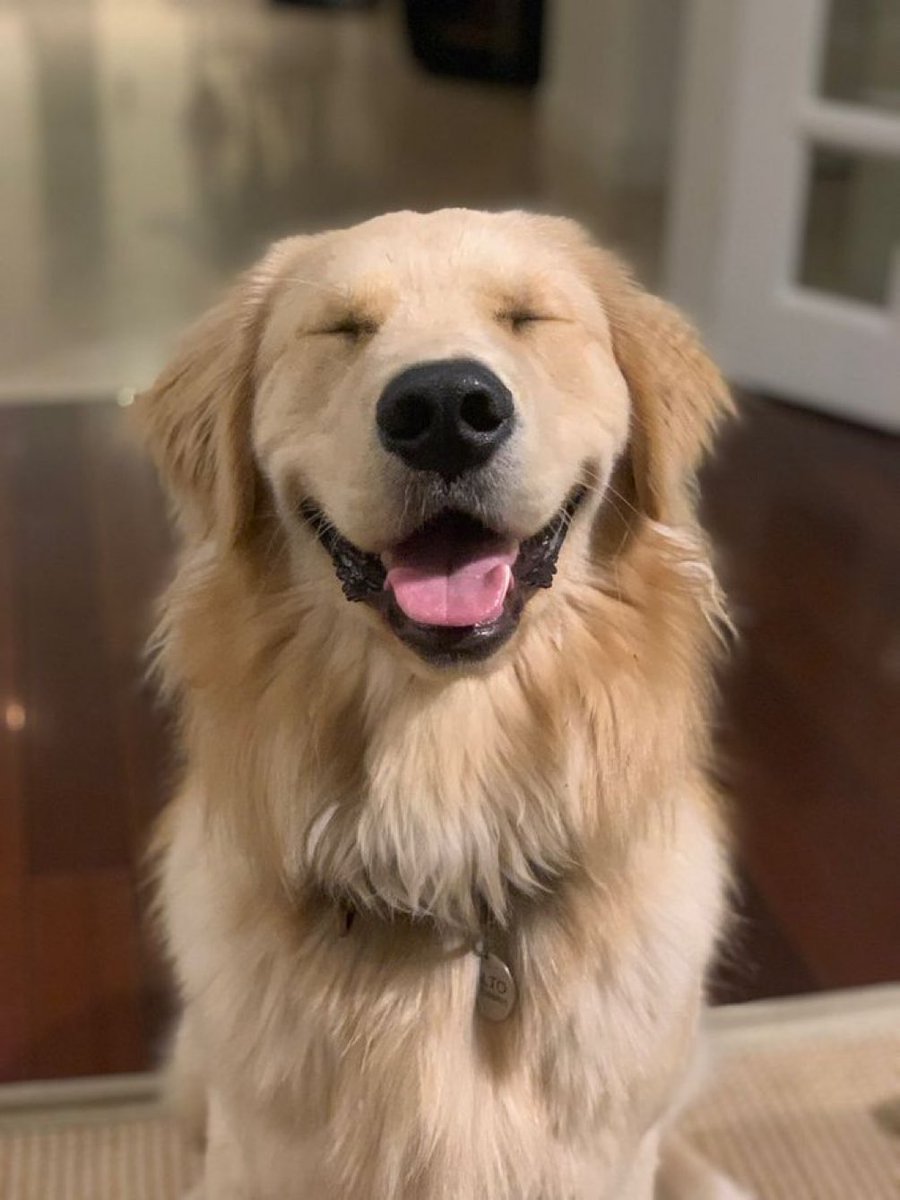 おめめ▽*ω*▽ 😍