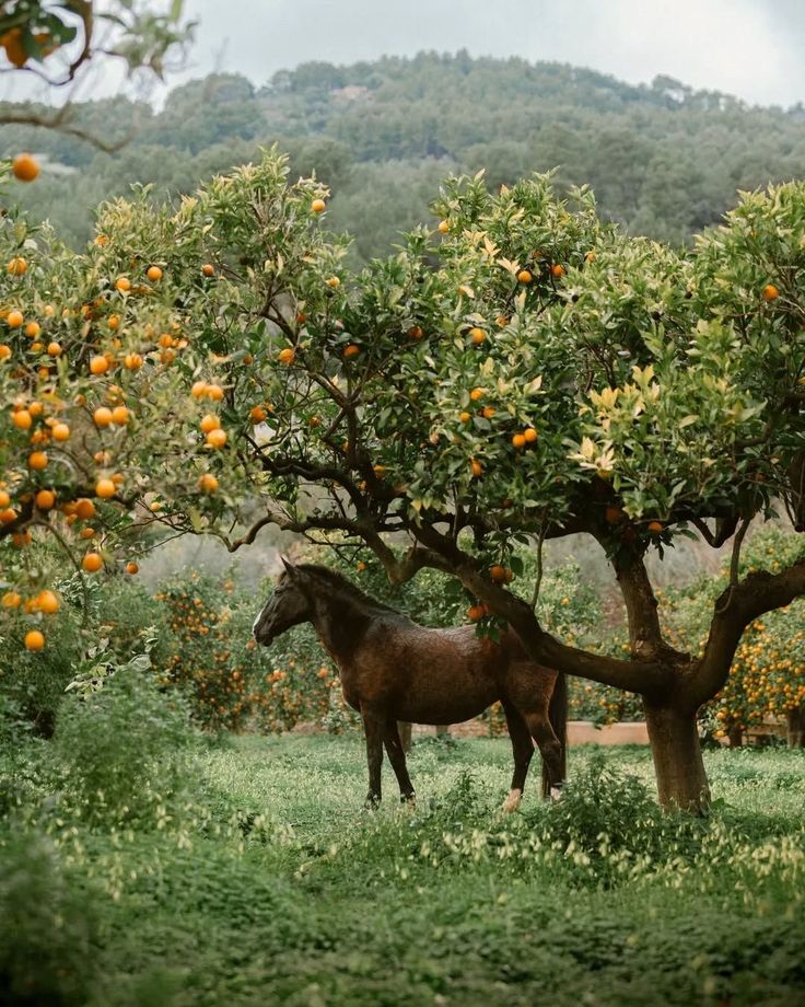 sorrrowfull's tweet image. 