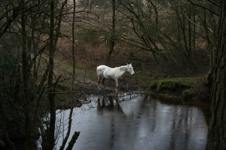 sorrrowfull's tweet image. 