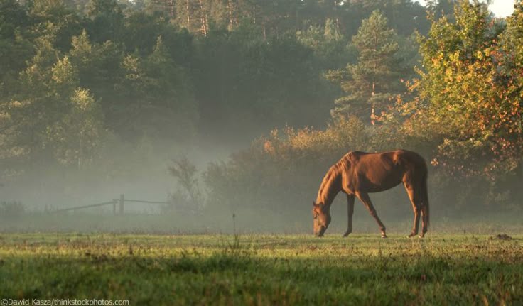 sorrrowfull's tweet image. 