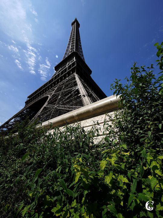 Art of the Day! "Eiffel tower". Buy at: ArtPal.com/coronagilles?i…