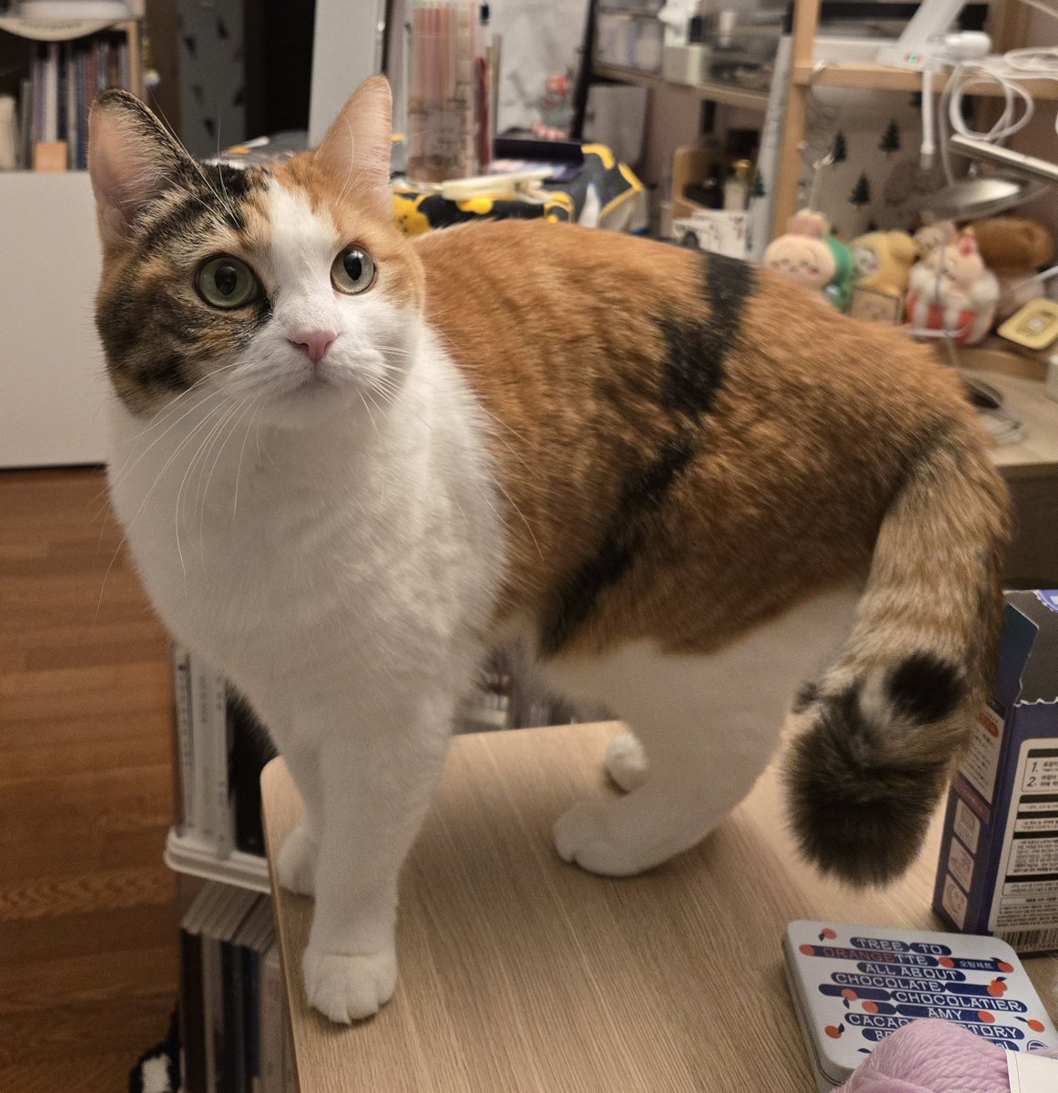 야 너... 진짜 귀엽다.... 헐...