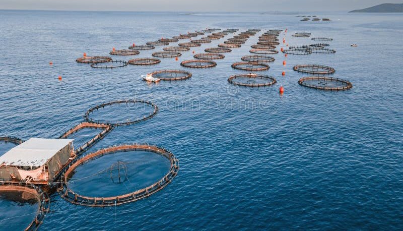 🚨India Launches first open-Sea marine fish farming project in Andaman's  North Bay.
