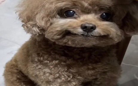 cookiezgi's tweet image. yo así recordando el chisme que le debía a osamu